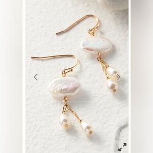 Soft surroundings crystal drop earring